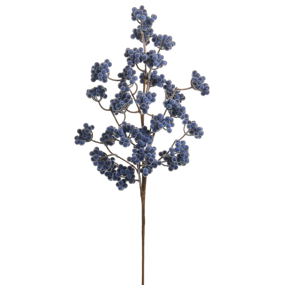 Blue berry spray