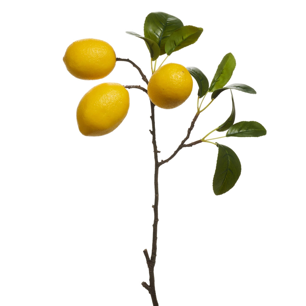 Raz Imports 20" Lemon Spray (In-Store Pickup Only)