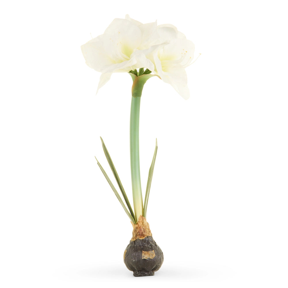 White flower with roots and soil on a white background