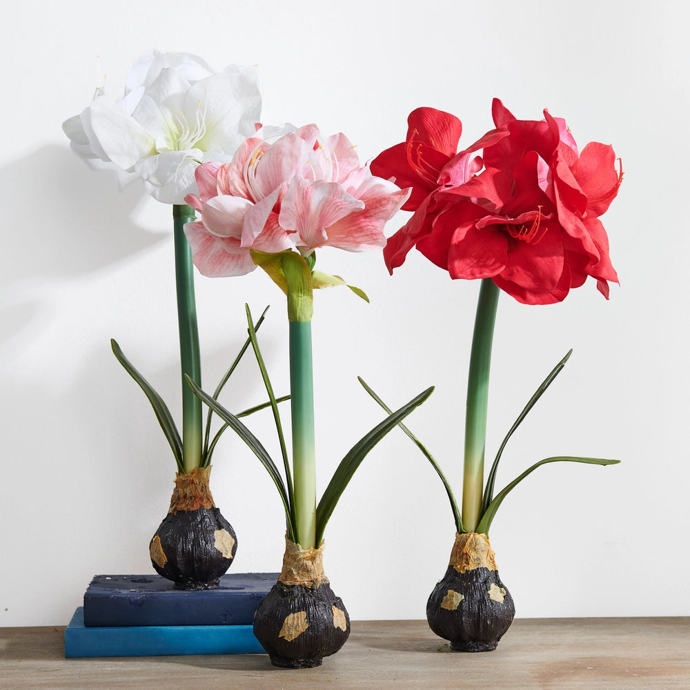 Three potted flowers in white, pink, and red on a wooden surface with a white background