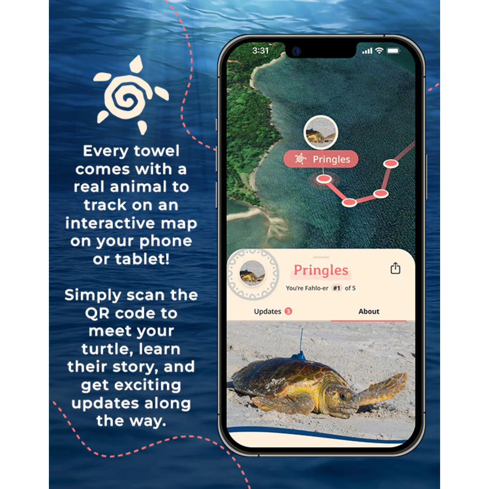 Phone screen showing a turtle tracking app with text about towel promotions and QR code scanning.