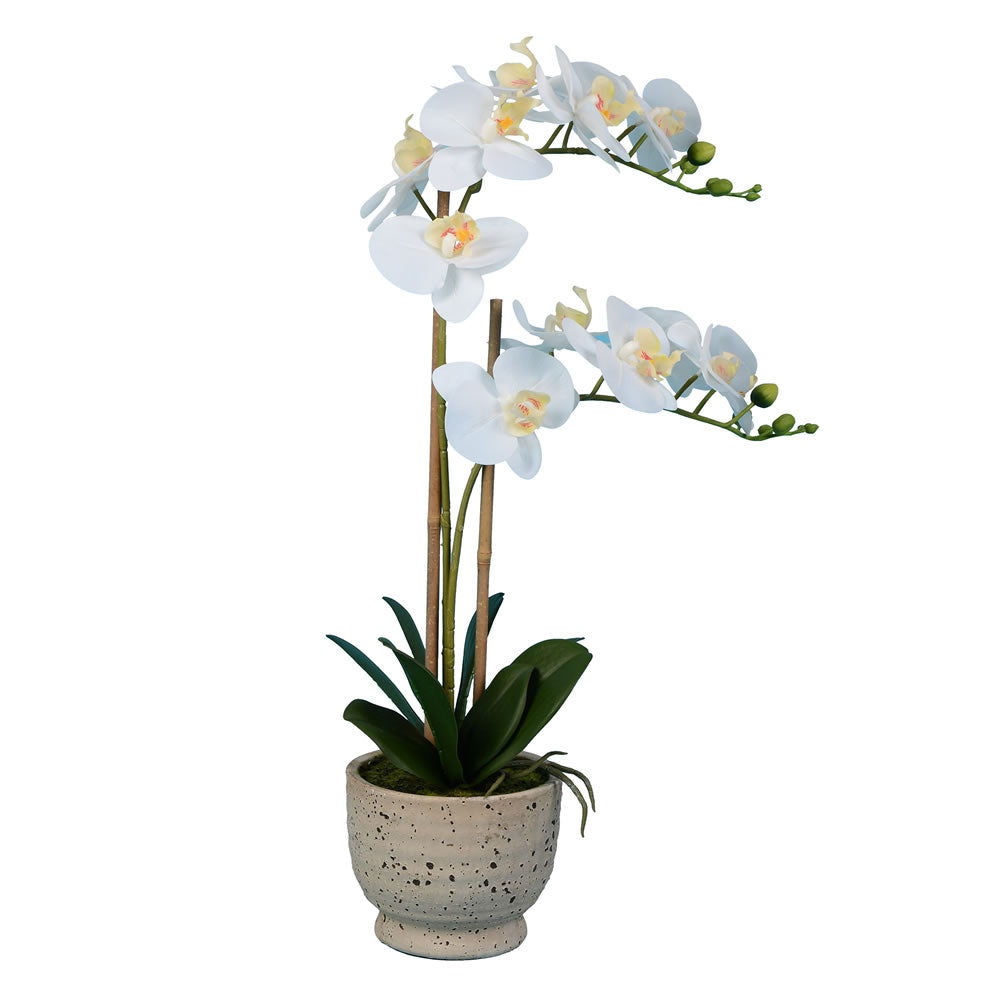 Vickerman 24.5" Artificial White Phalaenopsis In Cement Pot (In-store Only)