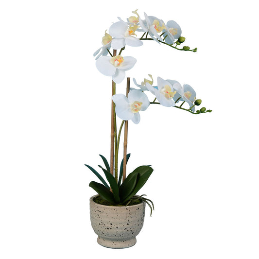 Vickerman 24.5" Artificial White Phalaenopsis In Cement Pot (In-store Only)