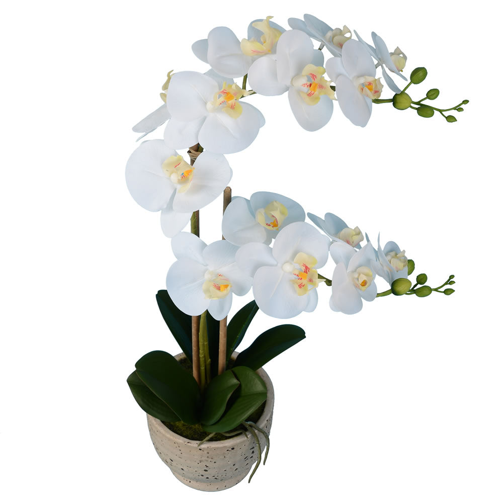 Vickerman 24.5" Artificial White Phalaenopsis In Cement Pot (In-store Only)