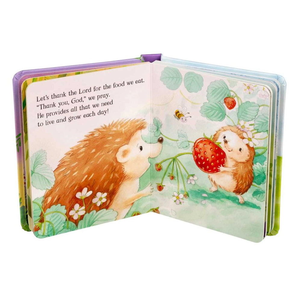 Open book with hedgehog illustrations and text on a white background