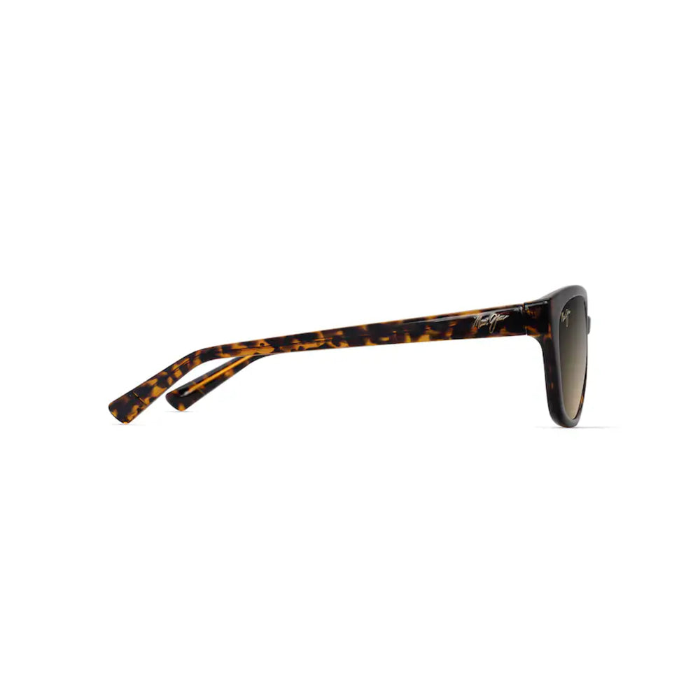 Round sunglasses with tortoiseshell frame on a white background