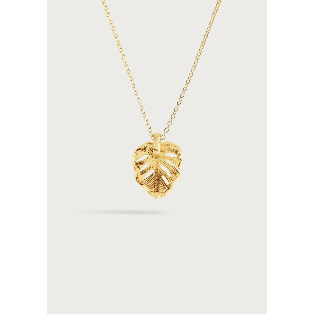 Anabel Aram Monstera Palm Charm