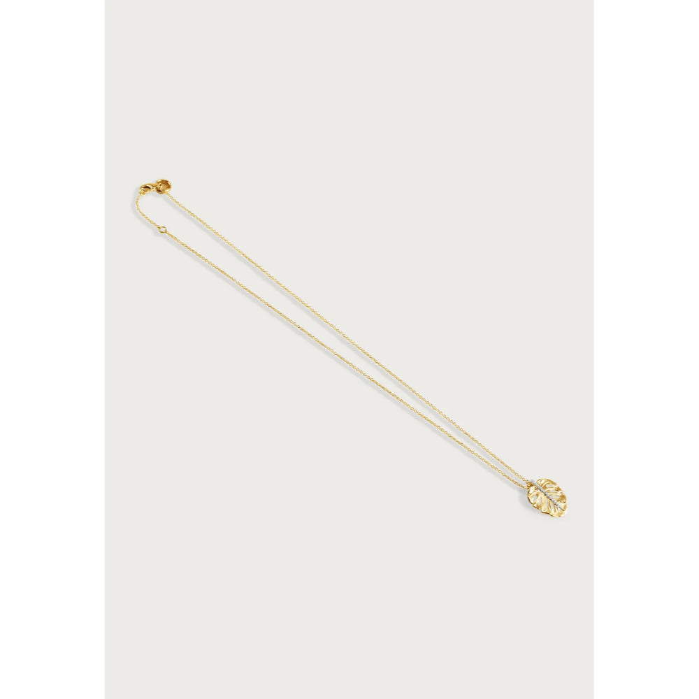 Anabel Aram Monstera Palm Charm