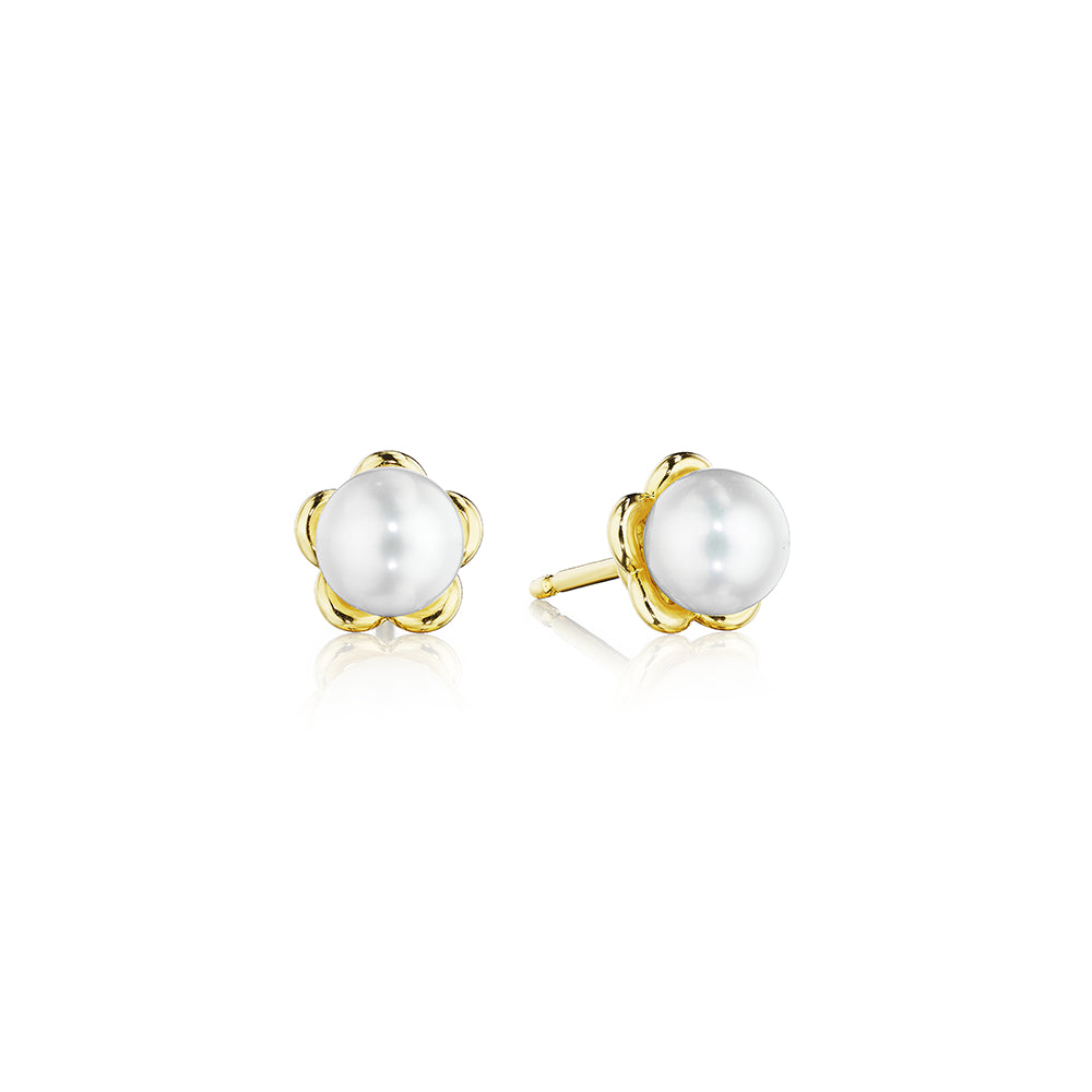 Verragio 18k Gold Reverie Petite Tiara Pearl Studs