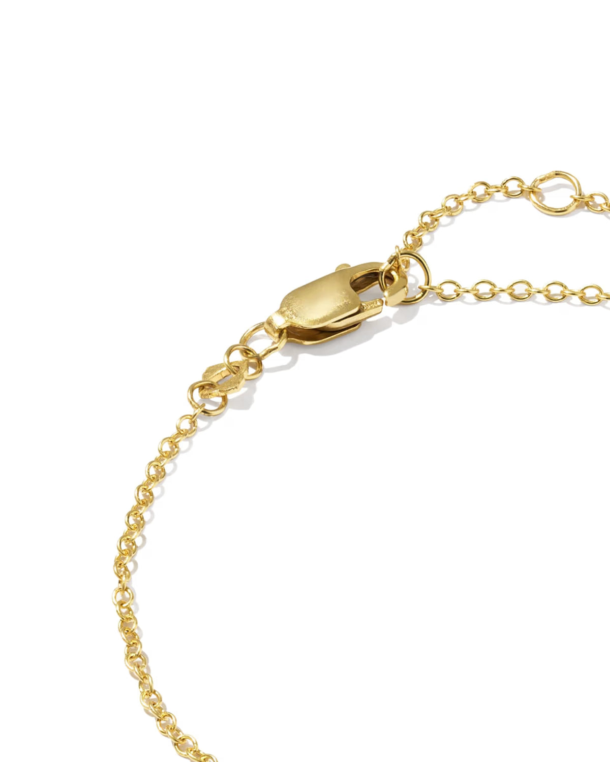 Close-up of a gold chain braclet with a lobster clasp and extender links on a white background.