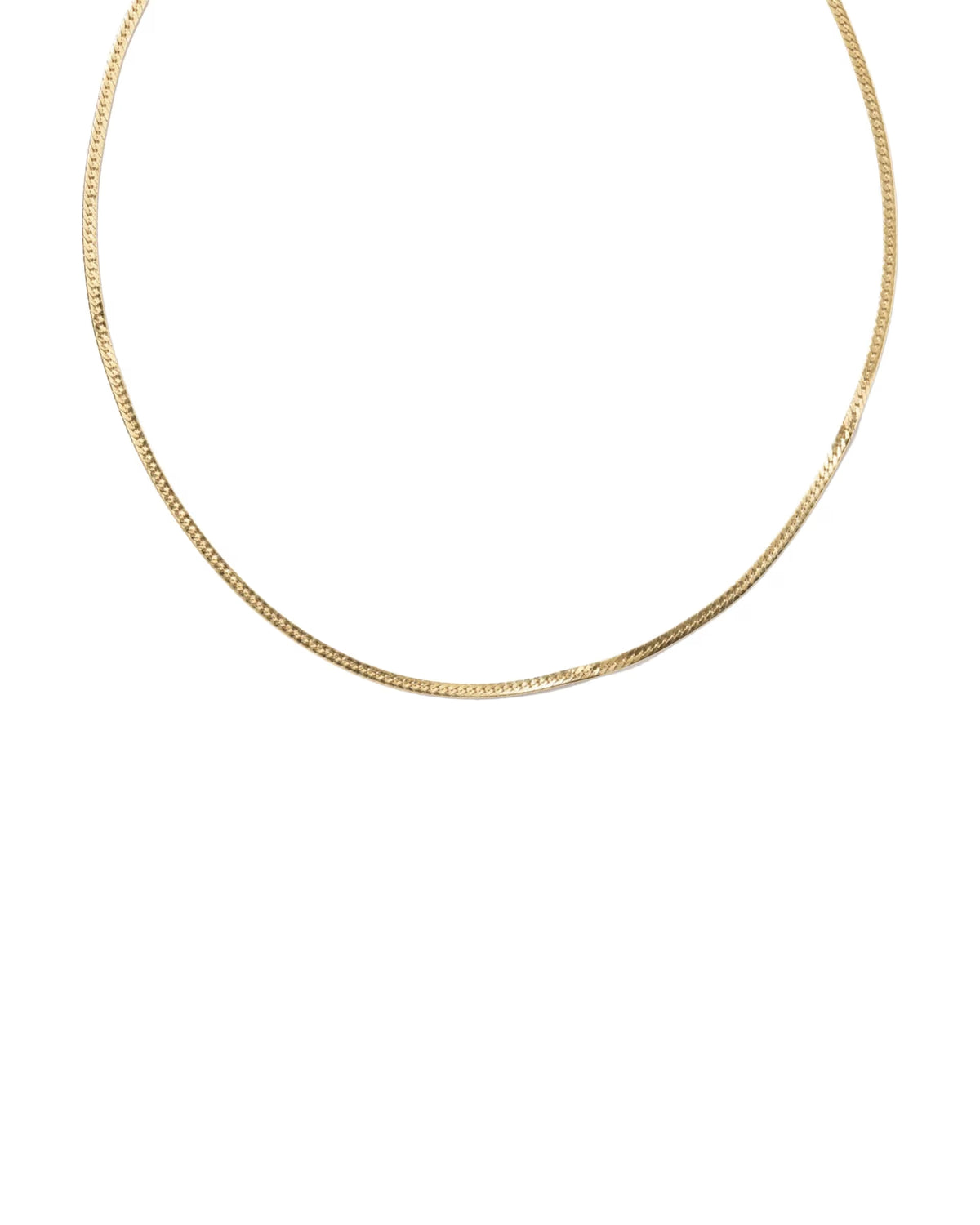 A delicate gold chain necklace arranged in a large oval on a solid white background.