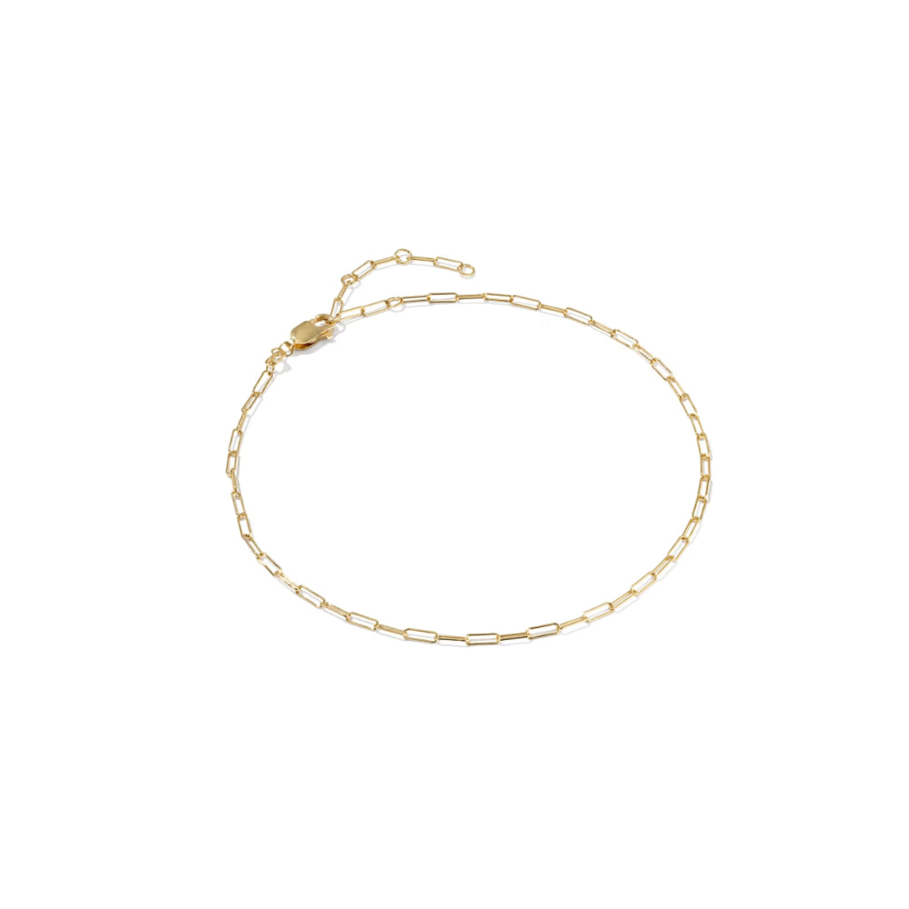 A delicate gold paperclip chain anklet with an adjustable lobster clasp and extender, displayed on a clean white background.