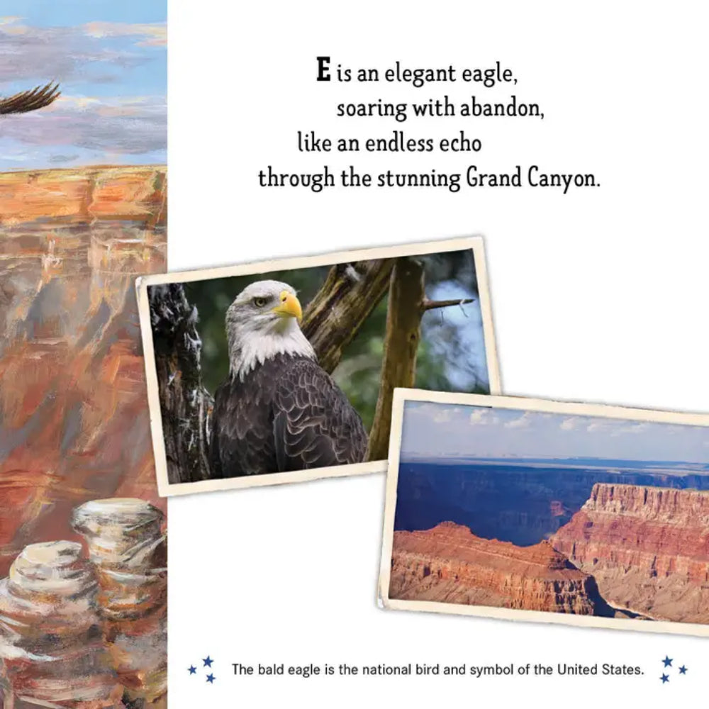 Land of the Free: America's ABC Picture Book