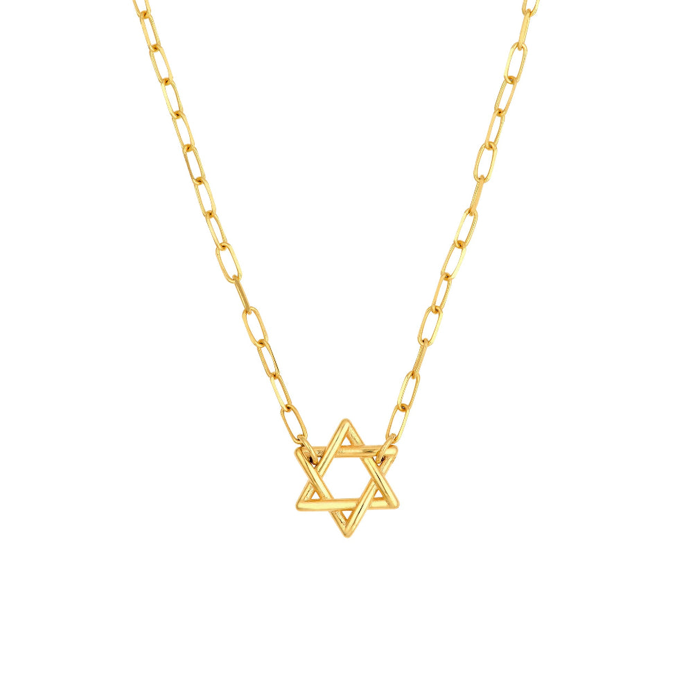 14k Yellow Gold Star of David Paperclip necklace 