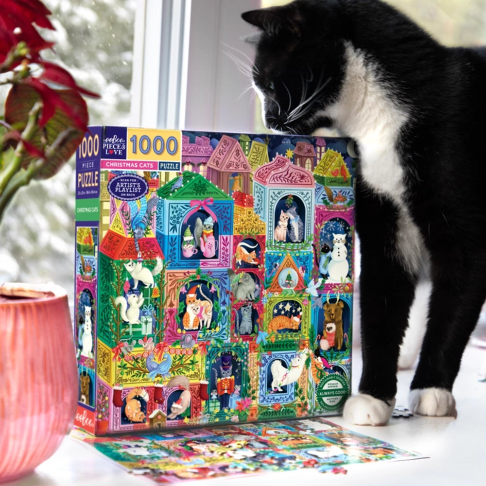 Cat interacting with a colorful puzzle box featuring cat-themed illustrations.