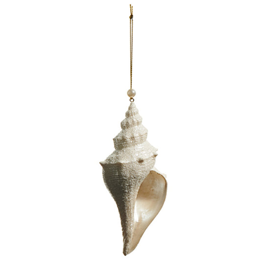 Raz Imports 5.5" Ivory Glitter Conch Shell Ornament