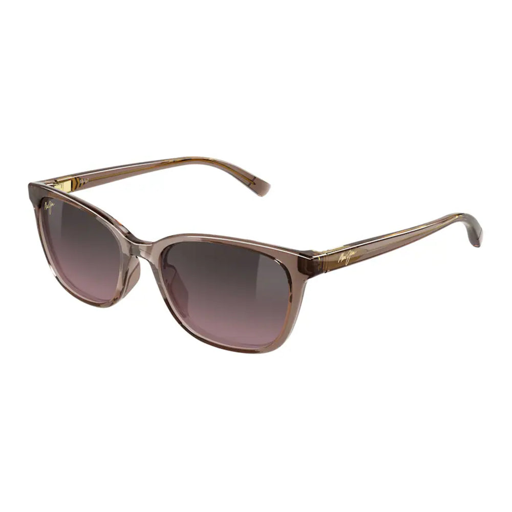 Raulin sunglasses with a translucent brown acetate frame and gradient brown lenses, shown on a plain white background.
