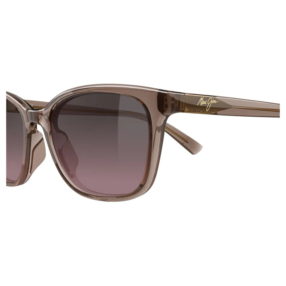 Close-up of a pair of sunglasses with a translucent taupe-brown acetate frame and gradient brown lenses, featuring a gold script logo on the temple arm.