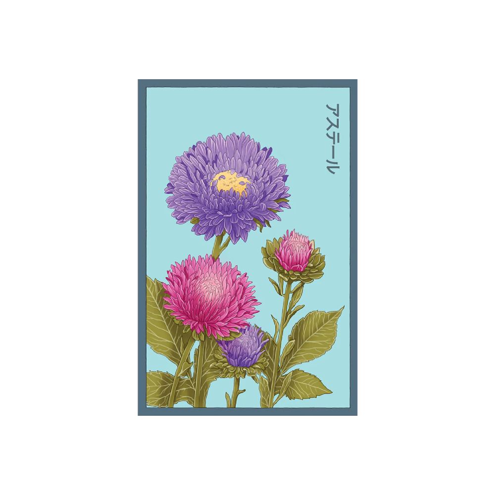 Shido Seed Aster Flower Seeds Packet