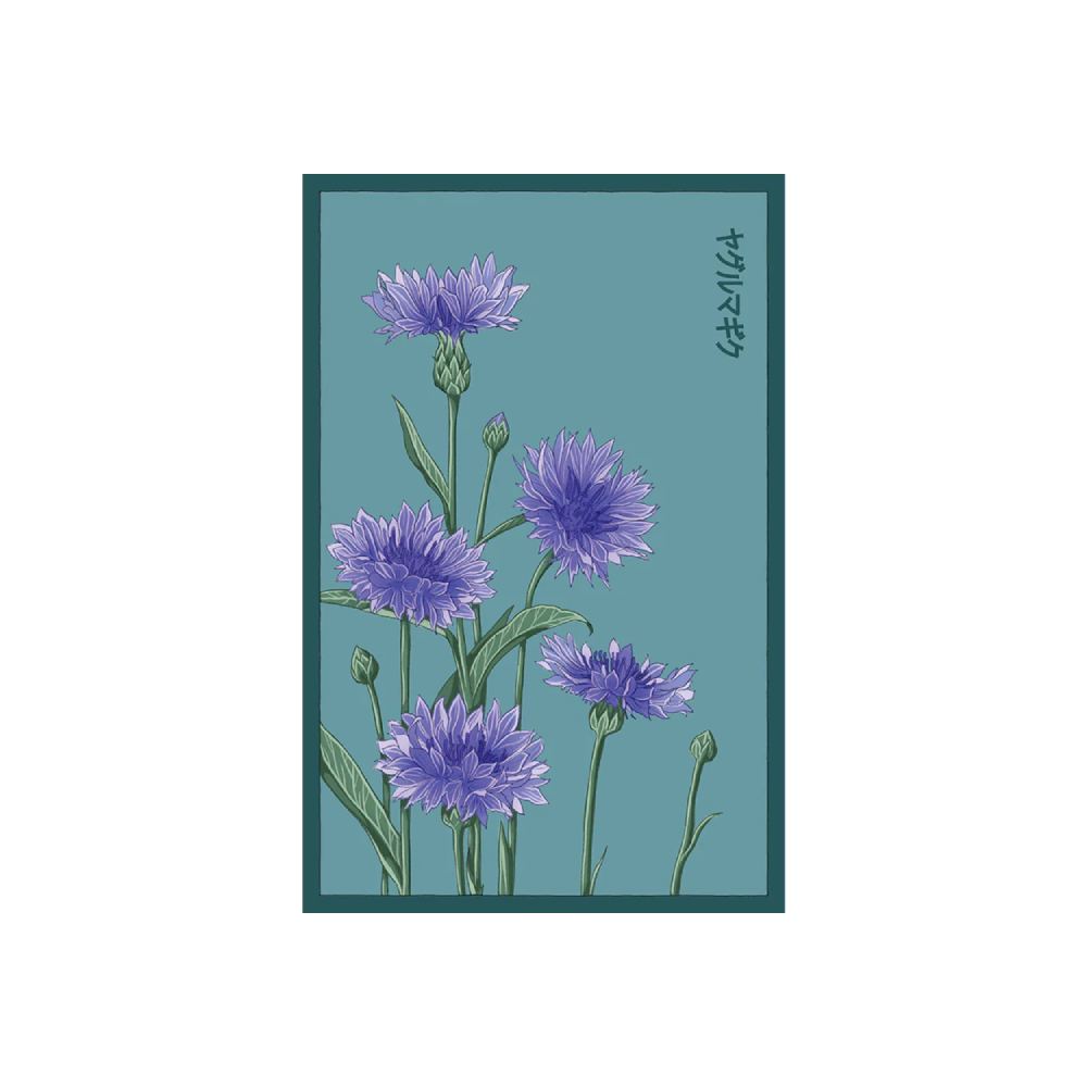 Shido Seed Blue Cornflower Flower Seeds Packet