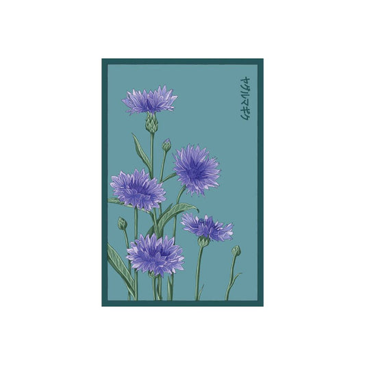 Shido Seed Blue Cornflower Flower Seeds Packet