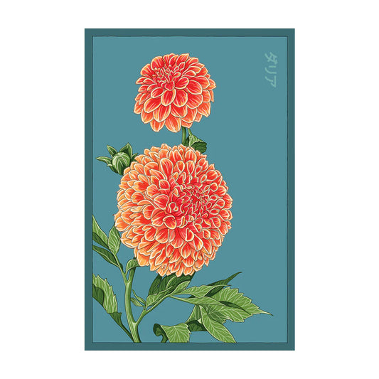 Shido Seed Dahlia Flower Seeds Packet