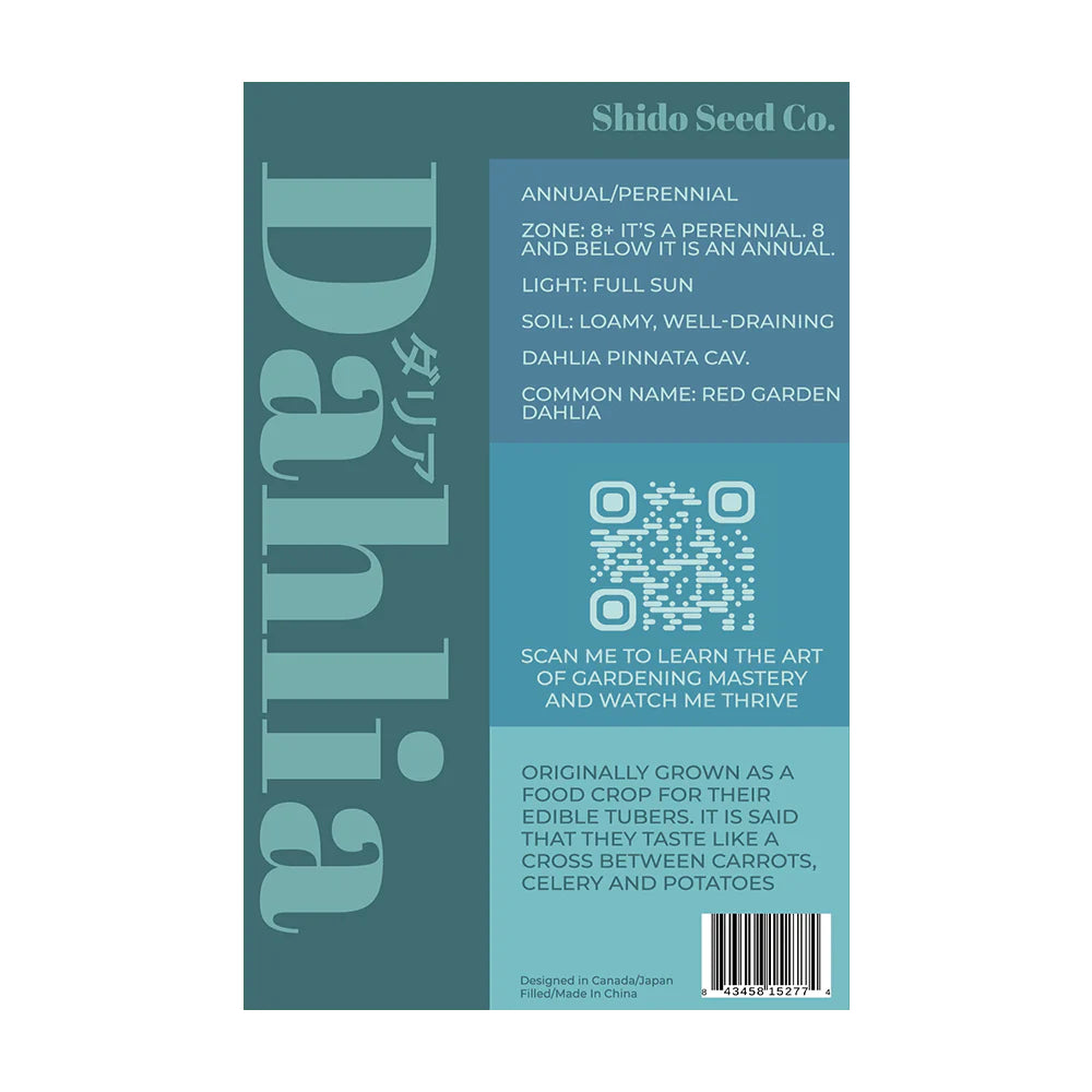 Shido Seed Dahlia Flower Seeds Packet