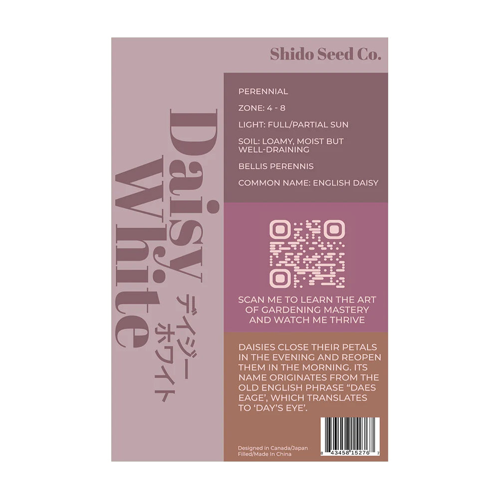 Shido Seed Daisy White Flower Seeds Packet