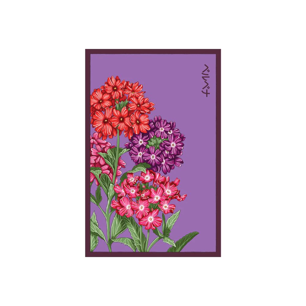 Shido Seed Verbena Flower Seeds Packet