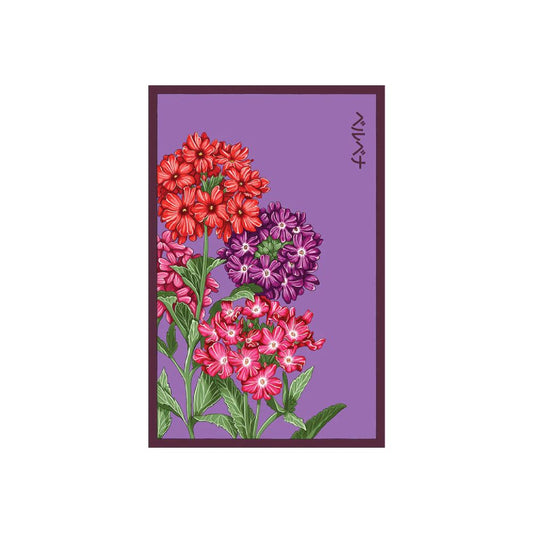 Shido Seed Verbena Flower Seeds Packet