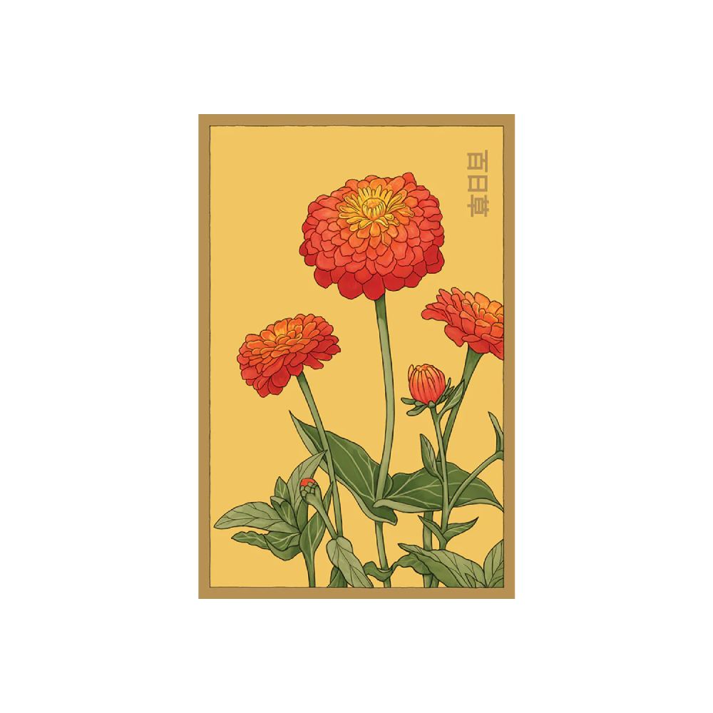 Shido Seed Zinnia Flower Seeds Packet