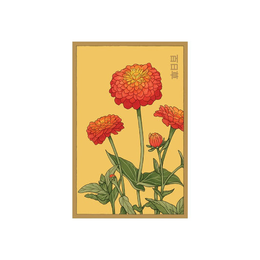 Shido Seed Zinnia Flower Seeds Packet