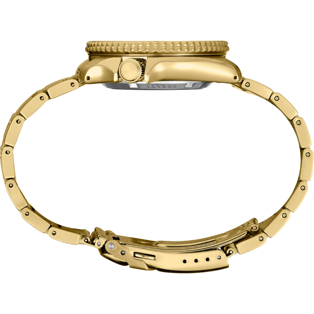 Gold watch case on a white background