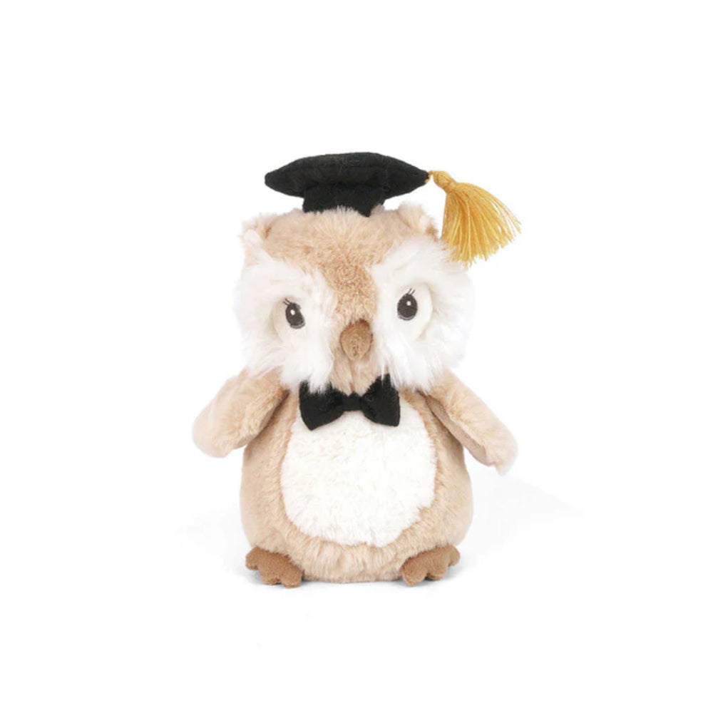 Brown & white owl with black graduate cap on and gold tassel on a white backround. 