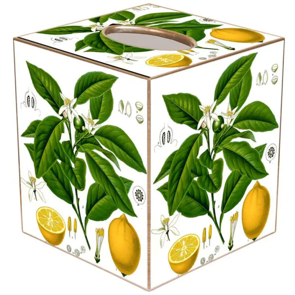A square tissue box cover or gift box printed with botanical lemon illustrations, including green leaves, yellow lemons, white blossoms, and small seed details on a white background. A rectangular opening is visible on the top face.