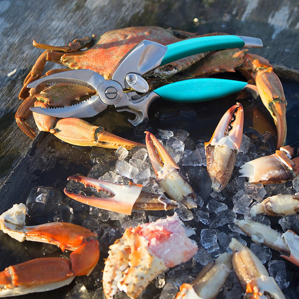 Crabs on ice with a pair of claw cutters on top.