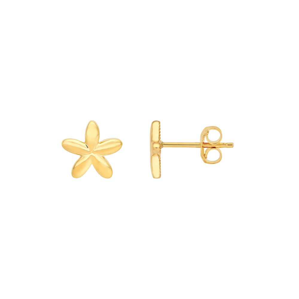 gold star stud earrings on white background