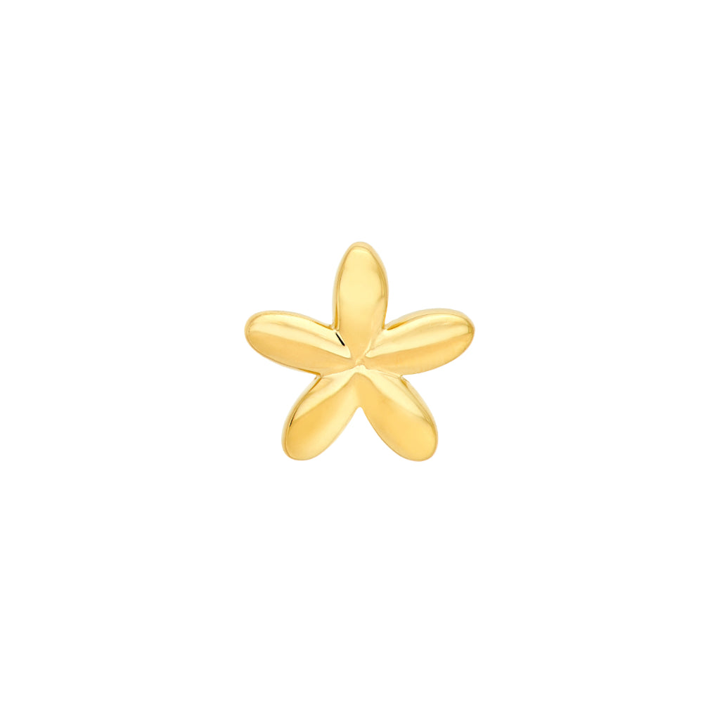 gold star stud earring on white background