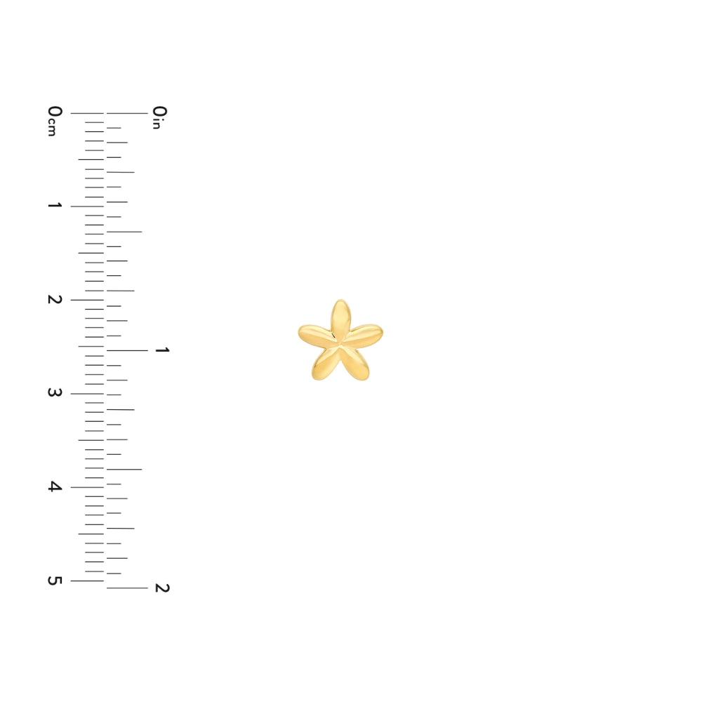 gold star stud earring on white background next to scale