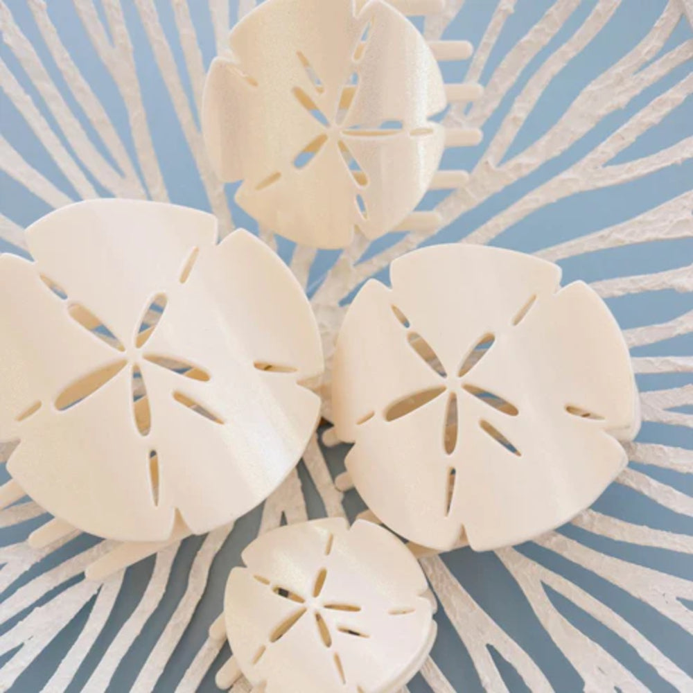 White sand dollar hair clips on a textured blue background