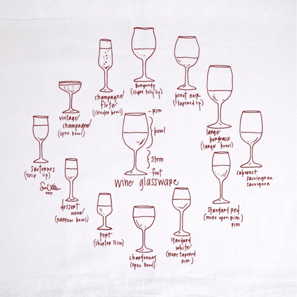 Illustrations of various wine glasses with labels on a white background
