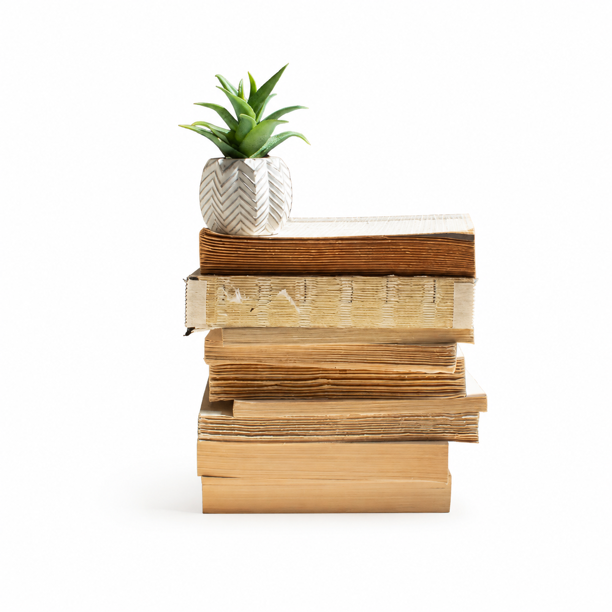 A stack of vintage-style books in warm brown and beige tones, topped with a small potted succulent in a white chevron-patterned pot, set against a clean white background.