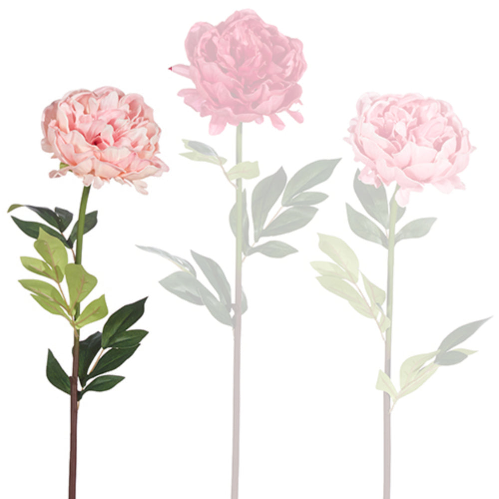 25" Real Touch Peony Stem