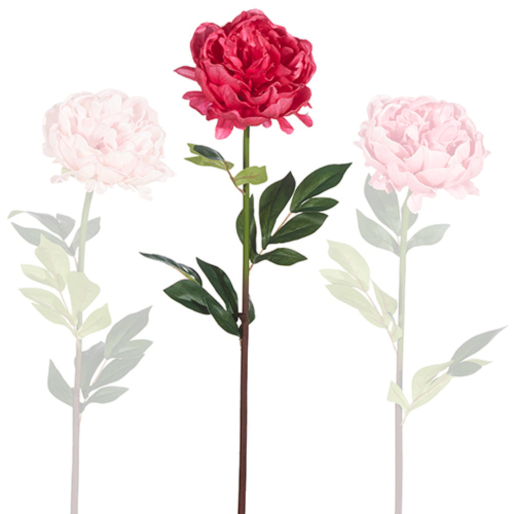 25" Real Touch Peony Stem