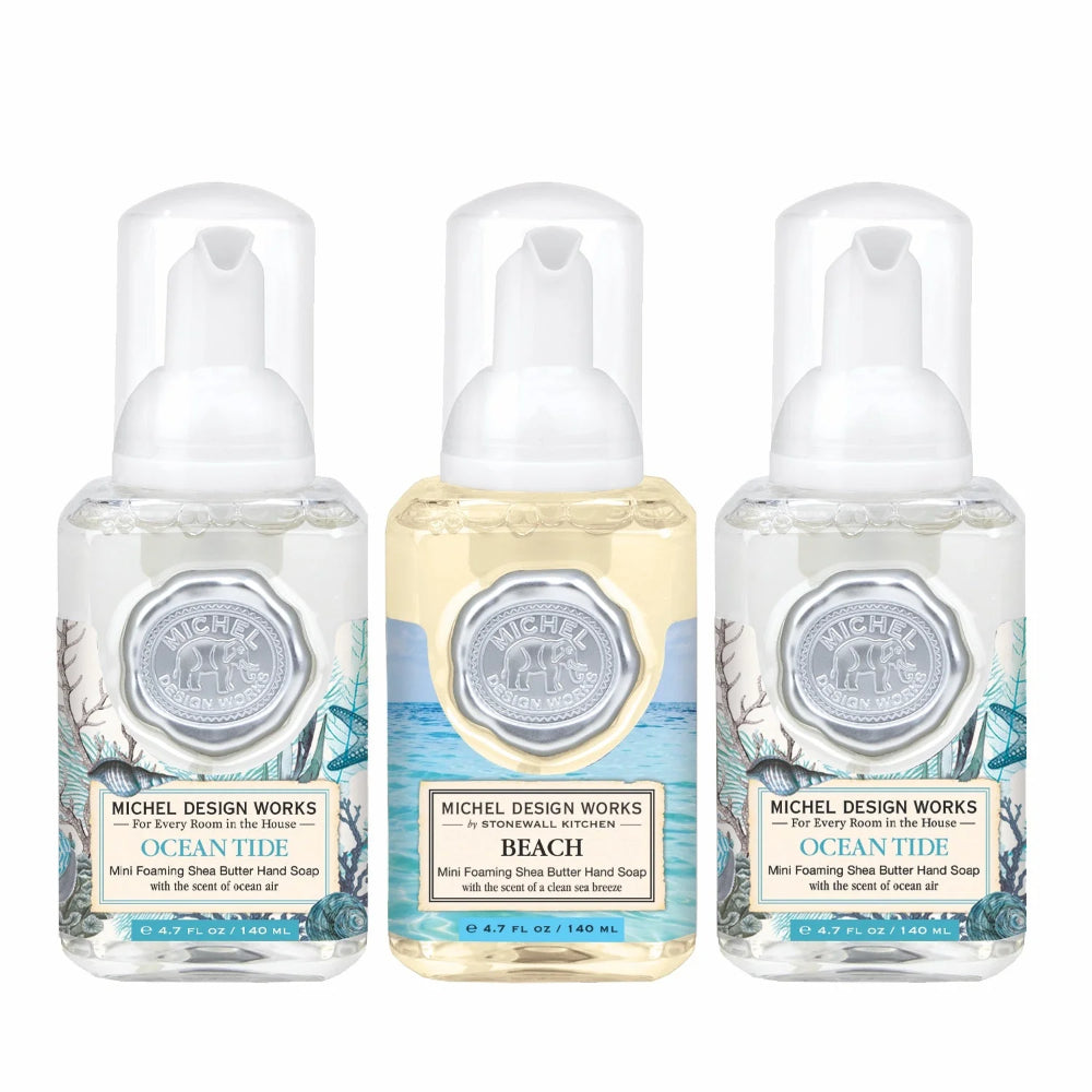 Three bottles of Michel Design Works hand soap with 'Coastal' and 'Beach' labels on a white background.