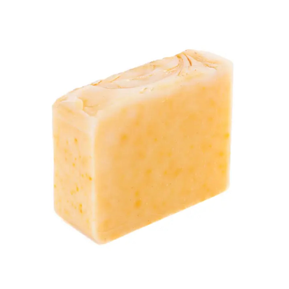 Mount Royal Soaps The Clean Bohemian - Sandalwood & Natty Boh Bar Soap