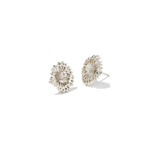 Kendra Scott Silver Brielle Stud Earrings