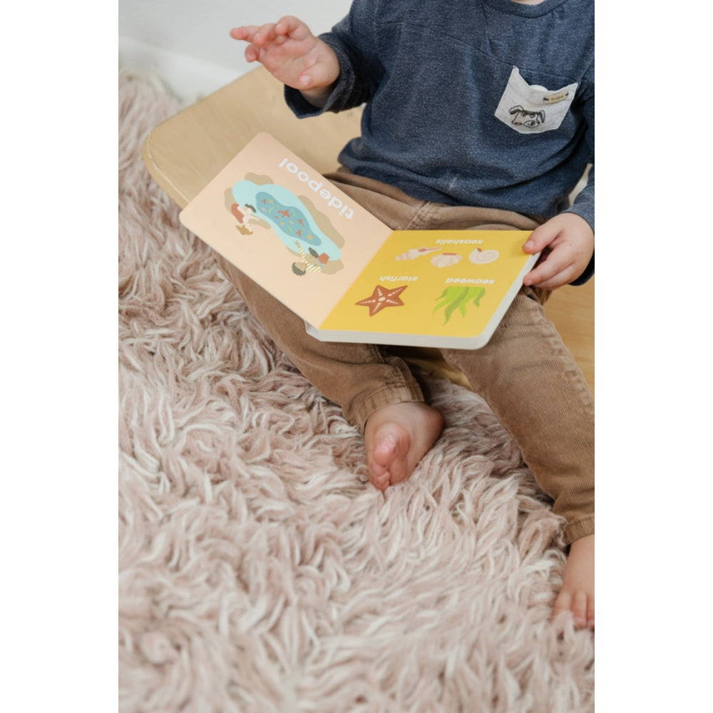 Beach Baby Board Book