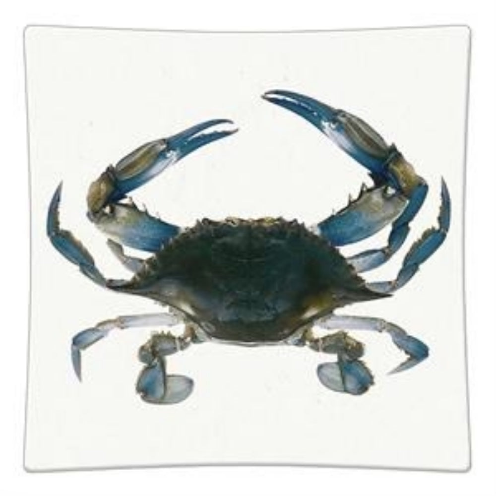 A square white plate featuring a detailed illustration of a blue crab in the center, with a subtle drop shadow against a white background.