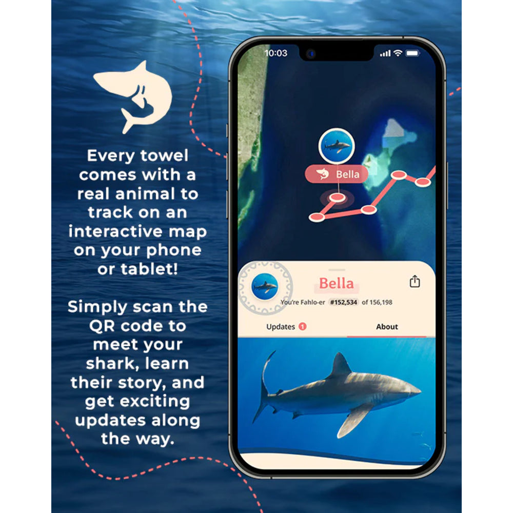 Phone screen showing an app interface with a shark and text about  shark tracking system.